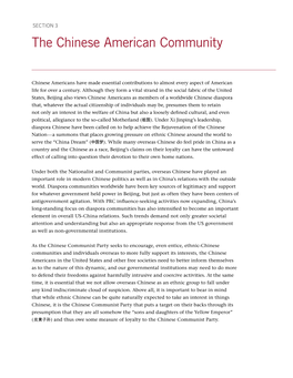 The Chinese American Community