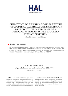 COLEOPTERA CARABIDAE): STRATEGIES for REPRODUCTION in the BANK of a TEMPORARY STREAM in the SOUTHERN IBERIAN PENINSULA Ana Cárdenas, Juan Hidalgo