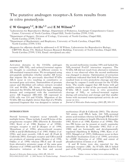 The Putative Androgen Receptor-A Form Results from in Vitro Proteolysis