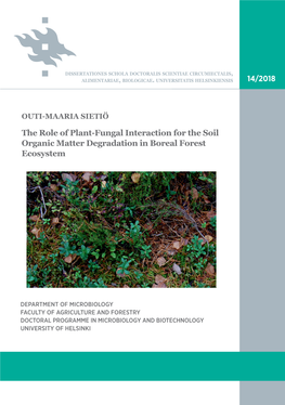 The Role of Plant-Fungal Interaction for the Soil Organic Matter Degradation