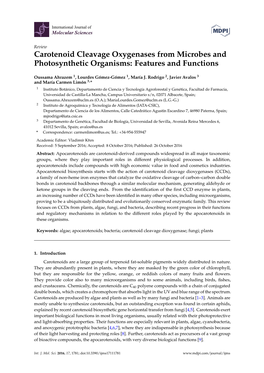 Carotenoid Cleavage Oxygenases from Microbes and Photosynthetic Organisms: Features and Functions