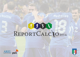 Reportcalcio 2014