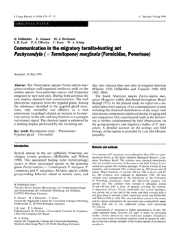 Communication in the Migratory Termite-Hunting Ant <Emphasis