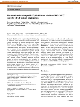 The Small Molecule Specific Ephb4 Kinase Inhibitor NVP-BHG712
