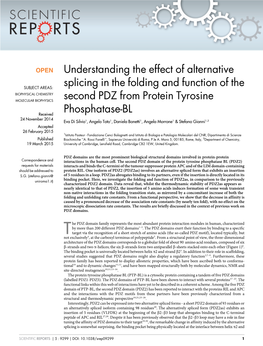 Understanding the Effect of Alternative Splicing in the Folding and Function of the Second 24