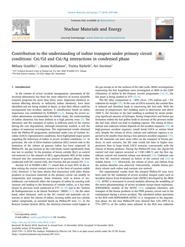 Contribution to the Understanding of Iodine Transport Under Primary