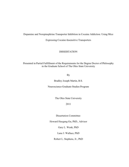 Dopamine and Norepinephrine Transporter Inhibition in Cocaine Addiction: Using Mice