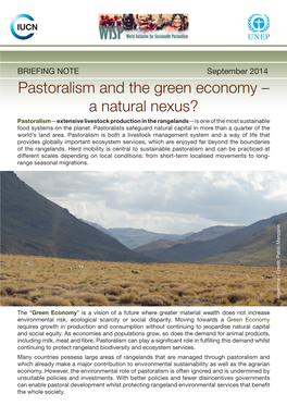 Pastoralism and the Green Economy – a Natural Nexus?