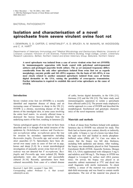 Isolation and Characterisation of a Novel Spirochaete from Severe Virulent Ovine Foot Rot