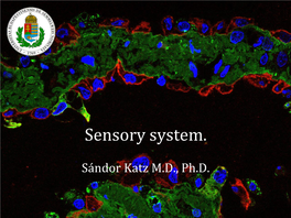 Sensory System