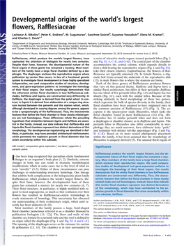 Developmental Origins of the Worldts Largest Flowers, Rafflesiaceae