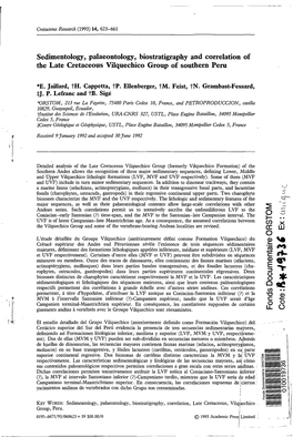 Sedimentology, Palaeontology, Biostratigraphy and Correlation of the Late Cretaceous Vilquechico Group of Southern Peru