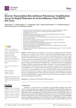 Reverse Transcription Recombinase Polymerase Amplification Assay For