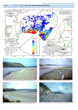 Taf, Tywi and Gwendraeth Estuaries Name