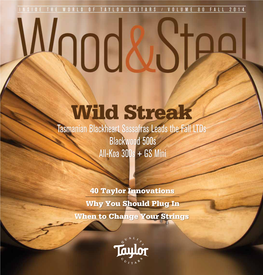 Taylor Guitars Wood & Steel Magazine