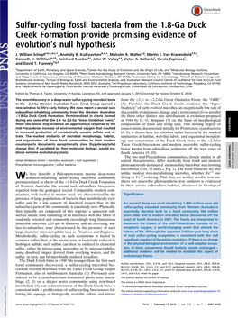 Sulfur-Cycling Fossil Bacteria from the 1.8-Ga Duck Creek Formation Provide Promising Evidence of Evolution’S Null Hypothesis