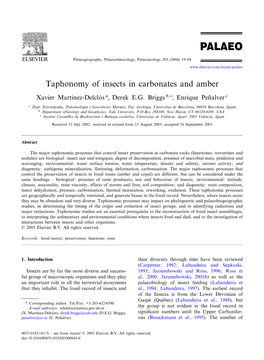 Taphonomy of Insects in Carbonates and Amber