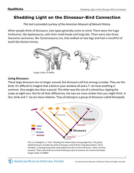 Shedding Light on the Dinosaur-Bird Connection