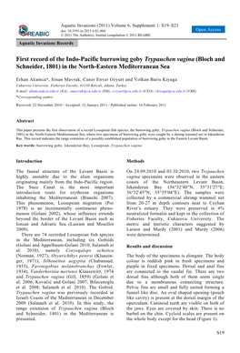 First Record of the Indo-Pacific Burrowing Goby Trypauchen Vagina (Bloch and Schneider, 1801) in the North-Eastern Mediterranean Sea