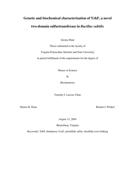 Genetic and Biochemical Characterization of Yrkf, a Novel