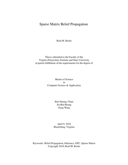 Sparse Matrix Belief Propagation