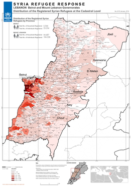 Syria Refugee Response