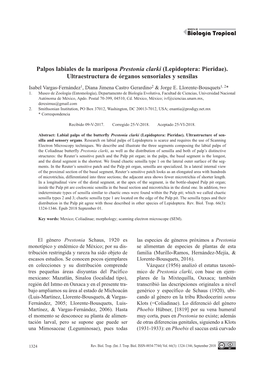 Palpos Labiales De La Mariposa Prestonia Clarki (Lepidoptera: Pieridae). Ultraestructura De Órganos Sensoriales Y Sensilas