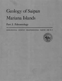 Geology of Saipan Mariana Islands