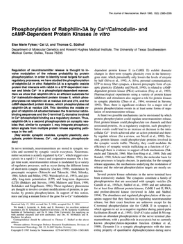 Phosphorylation of Rabphilin-3A by Ca2+/Calmodulin- and CAMP-Dependent Protein Kinases in Vitro