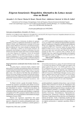Erigeron Bonariensis: Hospedeira Alternativa Do Lettuce Mosaic Virus No Brasil