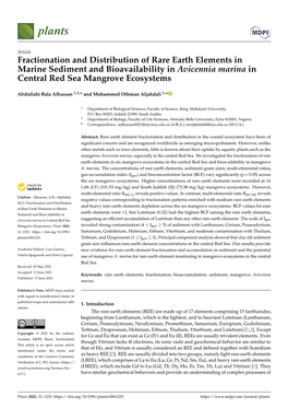 Fractionation and Distribution of Rare Earth Elements in Marine Sediment and Bioavailability in Avicennia Marina in Central Red Sea Mangrove Ecosystems