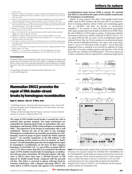 Mammalian XRCC2 Promotes the Repair of DNA Double-Strand