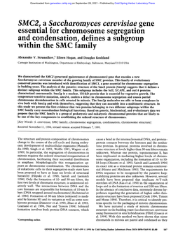 Essential for Chromosome Segregation and Condensation, Defines a Subgroup Within the SMC Family