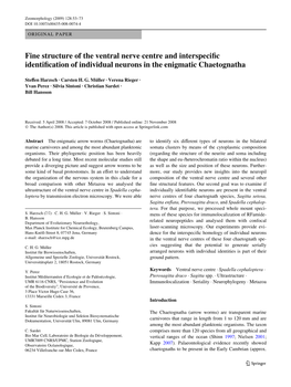 Fine Structure of the Ventral Nerve Centre and Interspeciwc Identiwcation of Individual Neurons in the Enigmatic Chaetognatha