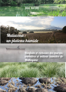 Matacena : Un Plateau Humide