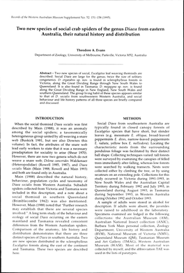 Two New Species of Social Crab Spiders of the Genus Diaea from Eastern Australia, Their Natural History and Distribution