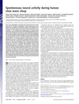 Spontaneous Neural Activity During Human Slow Wave Sleep