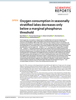 Oxygen Consumption in Seasonally Stratified Lakes Decreases Only