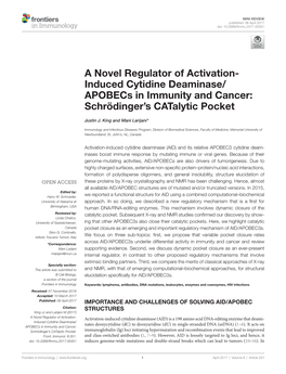 A Novel Regulator of Activation-Induced Cytidine