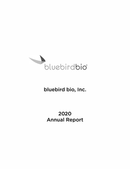 2020 Annual Report