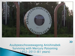 Asubpeeschoseewagong Anishinabek Surviving with Mercury