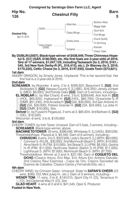 Chestnut Filly Barn 5 Hip No