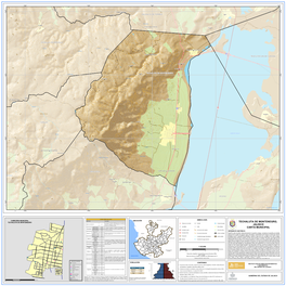 Techaluta De Montenegro, Jalisco Carta Municipal