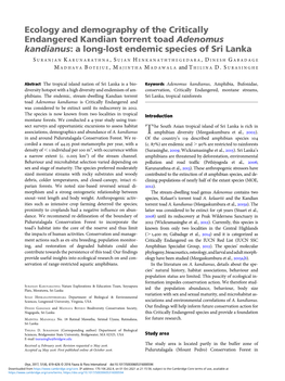 Ecology and Demography of the Critically Endangered Kandian Torrent Toad Adenomus Kandianus: a Long-Lost Endemic Species of Sri Lanka