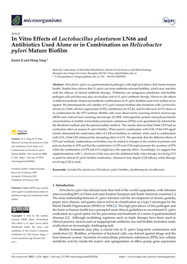 In Vitro Effects of Lactobacillus Plantarum LN66 and Antibiotics Used Alone Or in Combination on Helicobacter Pylori Mature Bioﬁlm