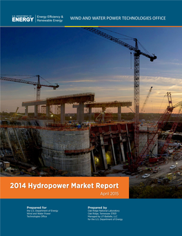 2014 Hydropower Market Report