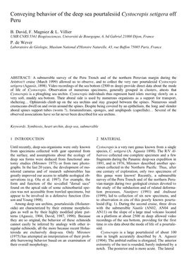 Conveying Behavior of the Deep Sea Pourtalesiid Cystocrepis Setigera Off Peru