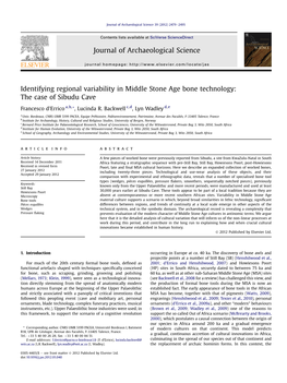 The Case of Sibudu Cave