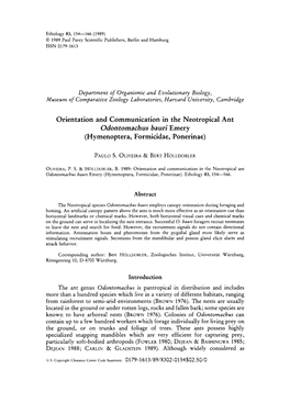 Orientation and Communication in the Neotropical Ant Odontomachus Bauri Emery (Hymenoptera, Formicidae, Ponerinae)