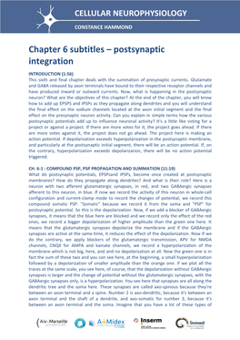 Chapter 6 Subtitles – Postsynaptic Integration